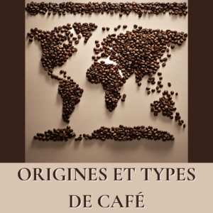 origines et types de café